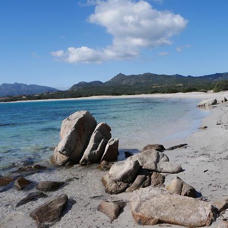 Appartamento Sole E Mare Budoni Zewnętrze zdjęcie